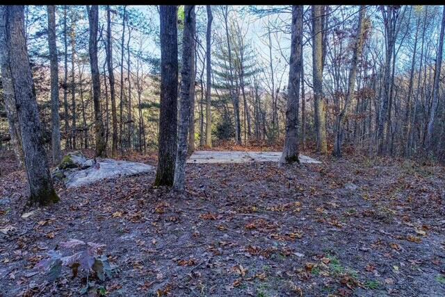 288 Frost Bottom Road, Oliver Springs, Tennessee image 13