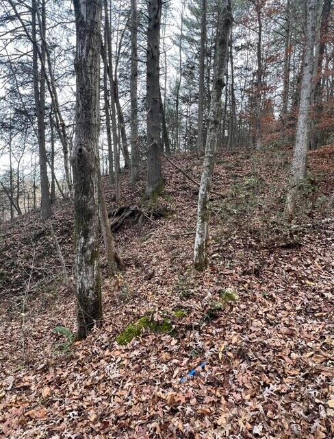 288 Frost Bottom Road, Oliver Springs, Tennessee image 16