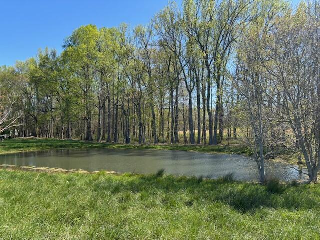 2247 Brayton Road, Pikeville, Tennessee image 2