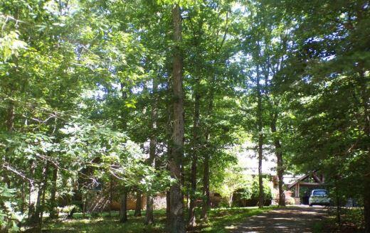 1045 Sweetens Cove Road, South Pittsburg, Tennessee image 1