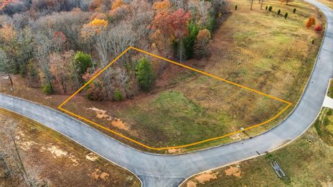 Photo of 116 River Run Trail, Spring City, TN 37381 (MLS # 1524347) Photo of 116 River Run Trail, Spring City, TN 37381 (MLS # 1524347)