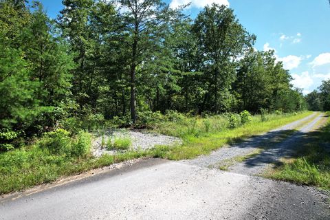 Vacant Land For Sale - Big Bluff View Road<br/> Pikeville, TN 37367