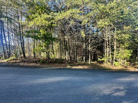 Photo of 391 Windy Ridge Drive, Dayton, TN 37321 (MLS # 1544256)