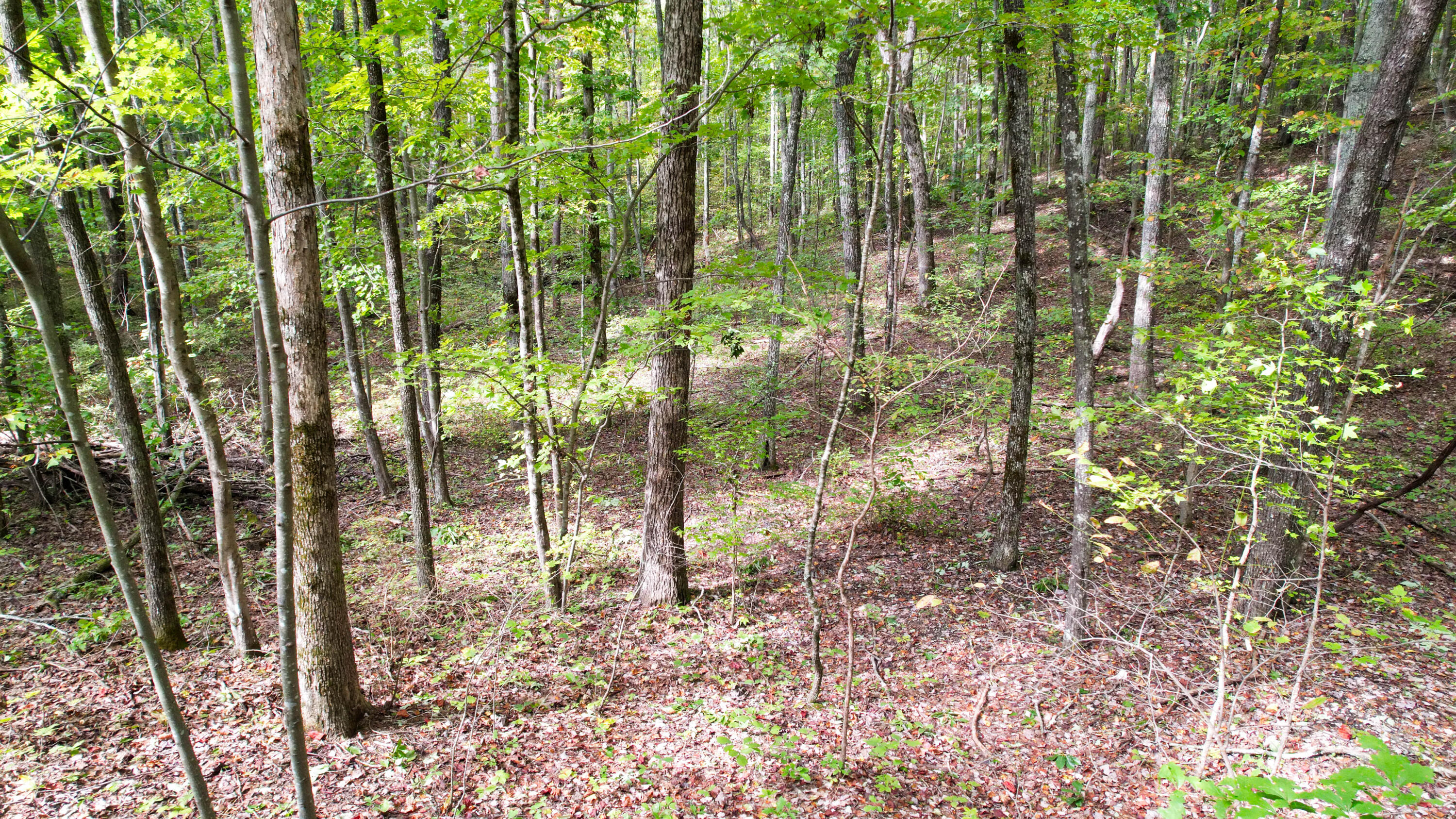 N Stewart Lane, Rising Fawn, Georgia image 7