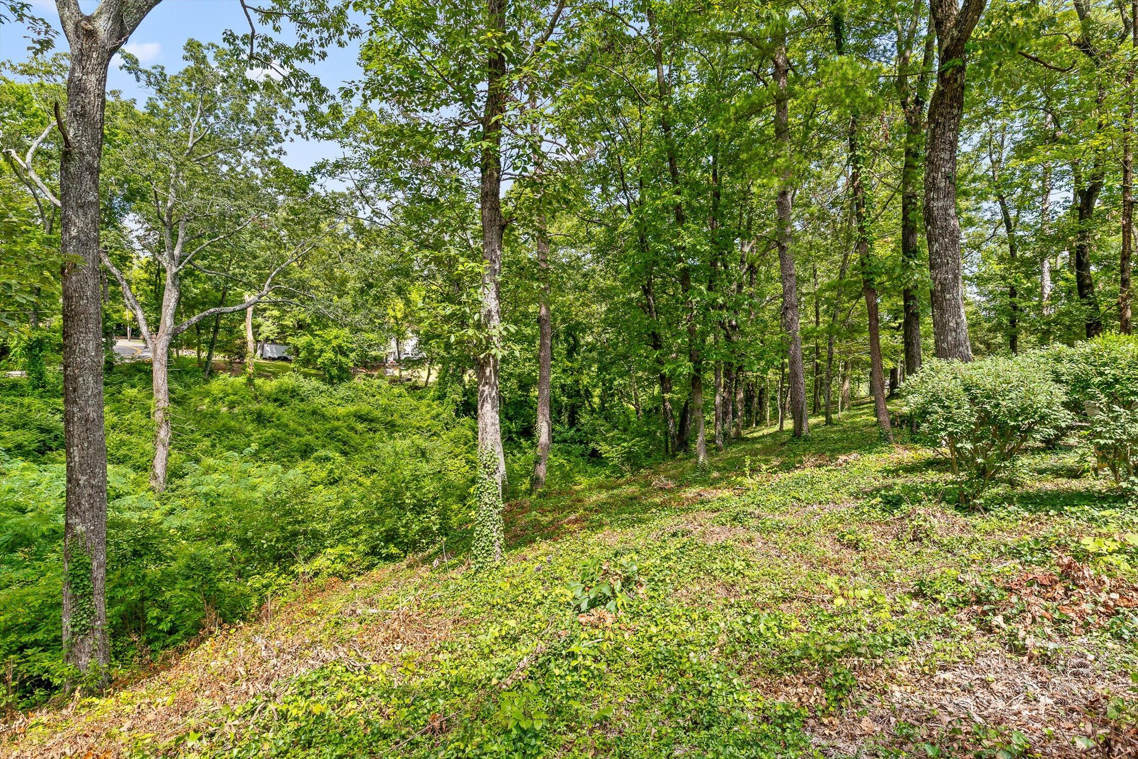 Lookout Mountain, Tennessee 37350, United States, ,Land,Active,179013