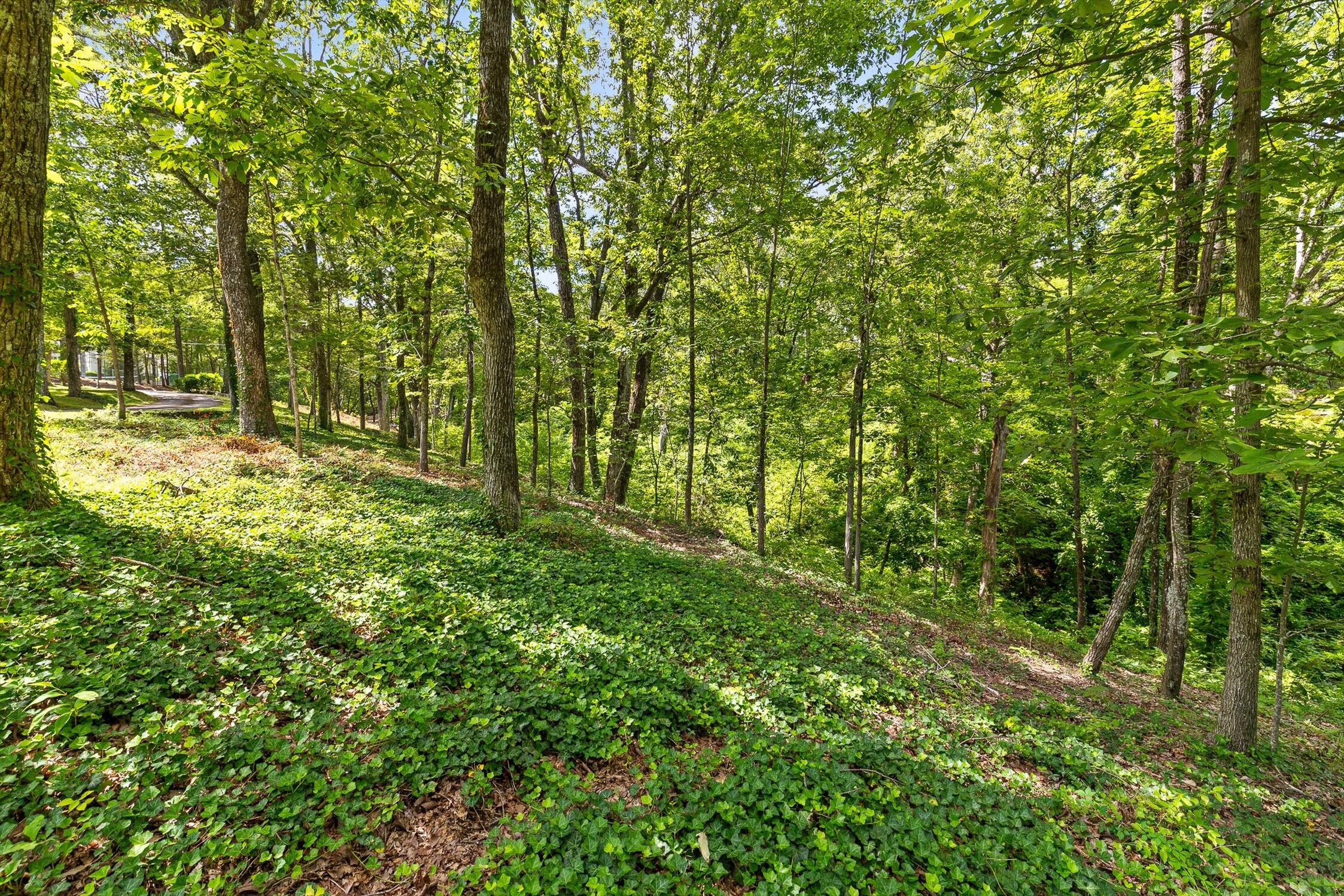 Lookout Mountain, Tennessee 37350, United States, ,Land,Active,179013