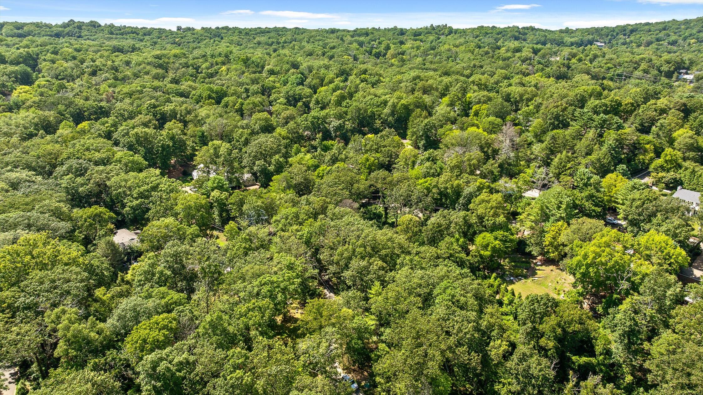 Lookout Mountain, Tennessee 37350, United States, ,Land,Active,179013
