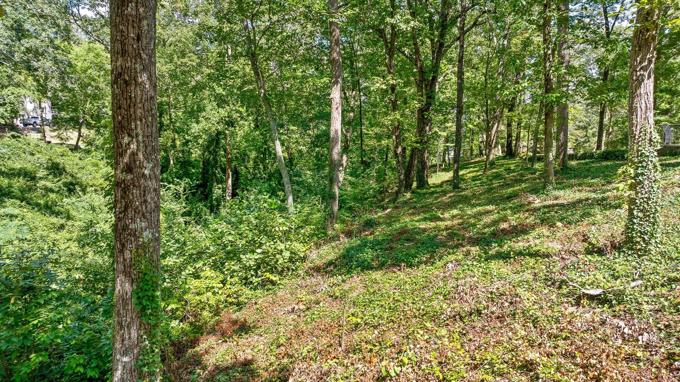 Lookout Mountain, Tennessee 37350, United States, ,Land,Active,179013