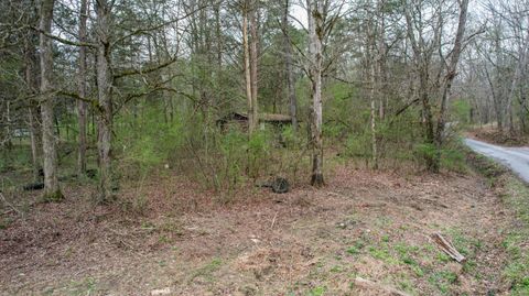 Tiny photo for 1029 Blythe Ferry Lane, Birchwood, TN 37308 (MLS # 1530420)
