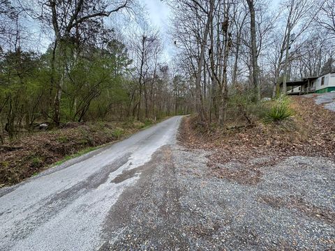 Tiny photo for 1029 Blythe Ferry Lane, Birchwood, TN 37308 (MLS # 1530420)