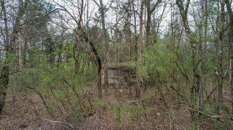 Tiny photo for 1029 Blythe Ferry Lane, Birchwood, TN 37308 (MLS # 1530420)