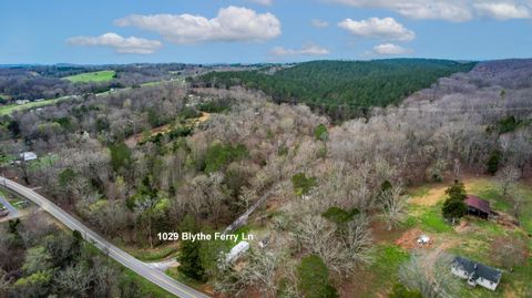 Tiny photo for 1029 Blythe Ferry Lane, Birchwood, TN 37308 (MLS # 1530420)