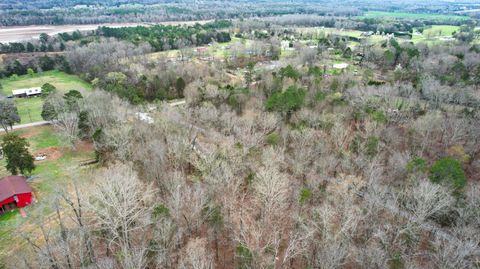 Tiny photo for 1029 Blythe Ferry Lane, Birchwood, TN 37308 (MLS # 1530420)