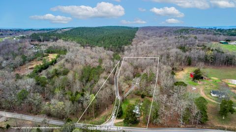 Tiny photo for 1029 Blythe Ferry Lane, Birchwood, TN 37308 (MLS # 1530420)