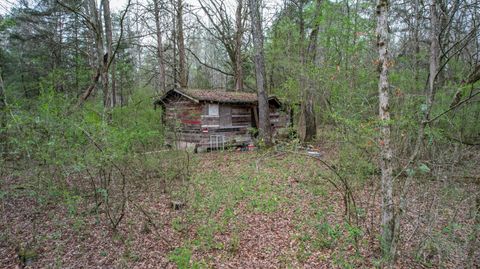 Tiny photo for 1029 Blythe Ferry Lane, Birchwood, TN 37308 (MLS # 1530420)