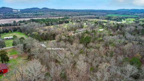 Tiny photo for 1029 Blythe Ferry Lane, Birchwood, TN 37308 (MLS # 1530420)