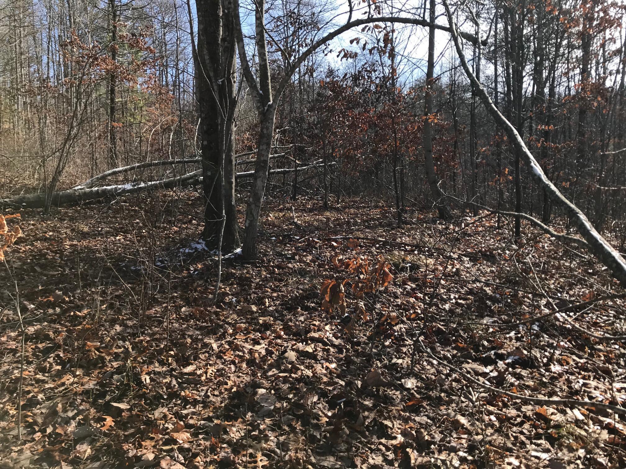 Chestnut Oak Drive #309, Dunlap, Tennessee image 18