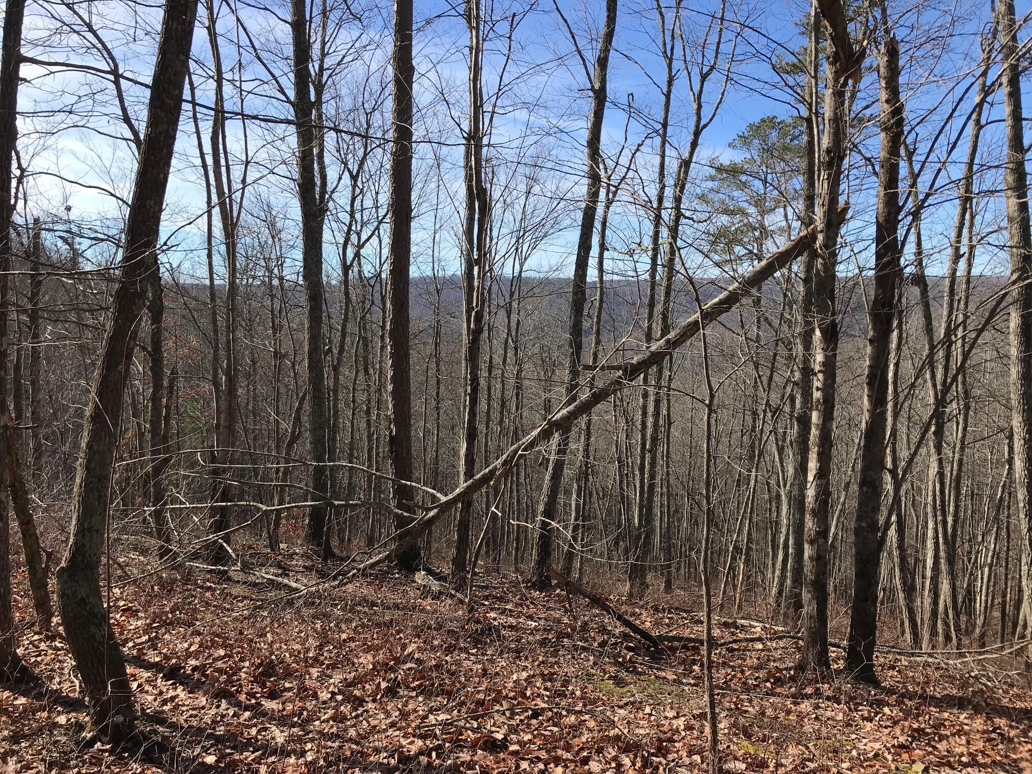 Chestnut Oak Drive #309, Dunlap, Tennessee image 9