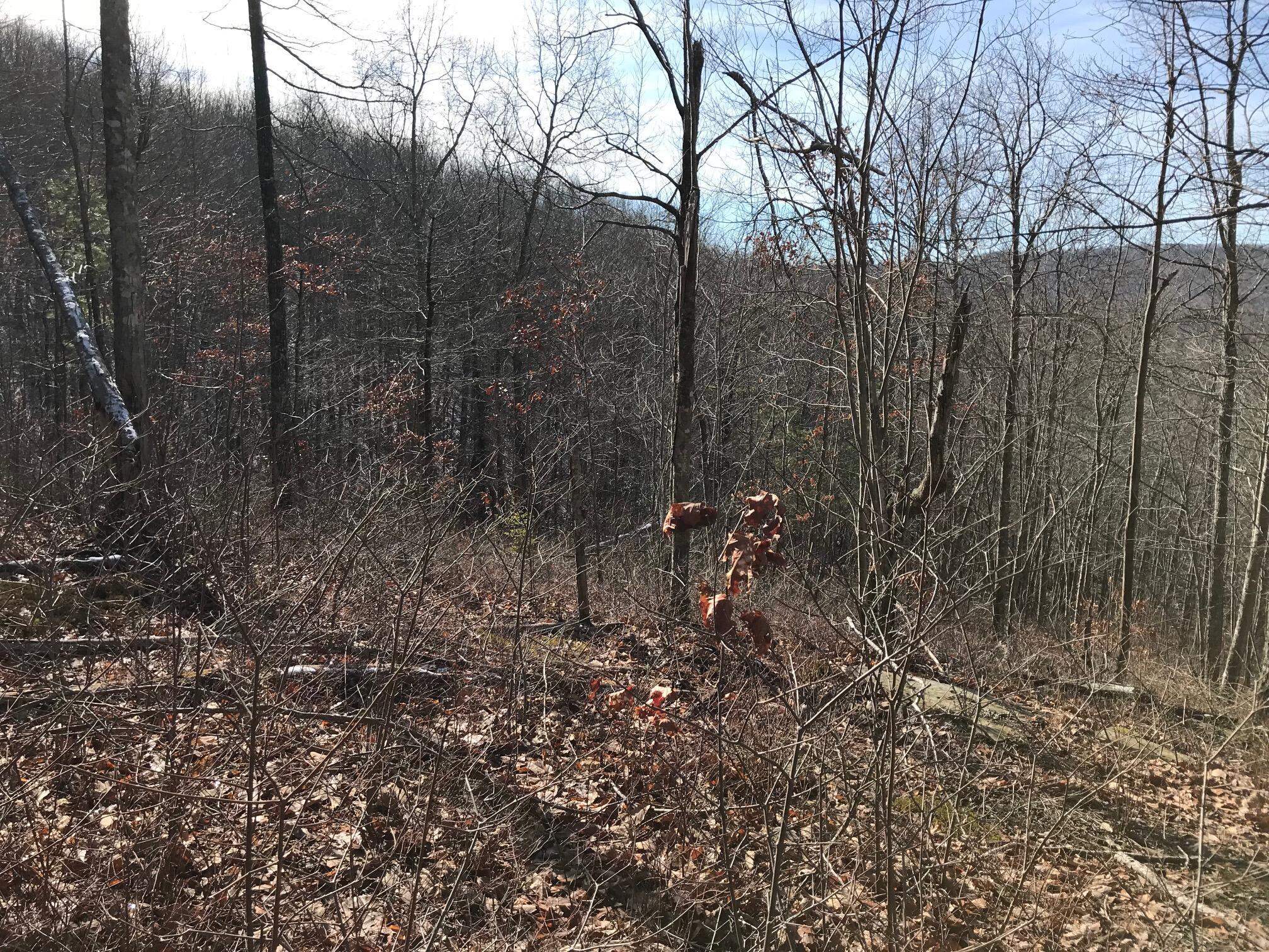 Chestnut Oak Drive #309, Dunlap, Tennessee image 10