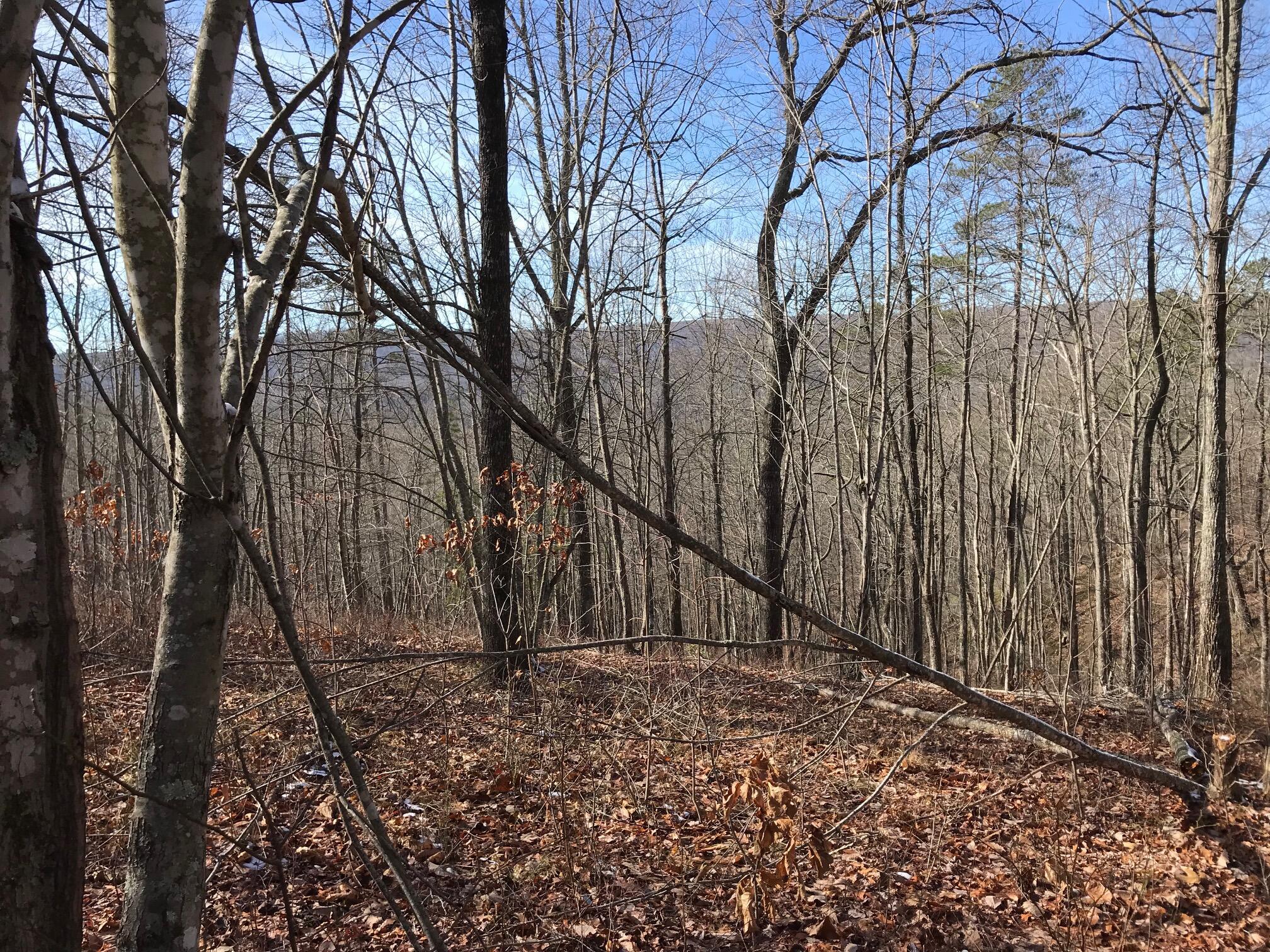 Chestnut Oak Drive #309, Dunlap, Tennessee image 16