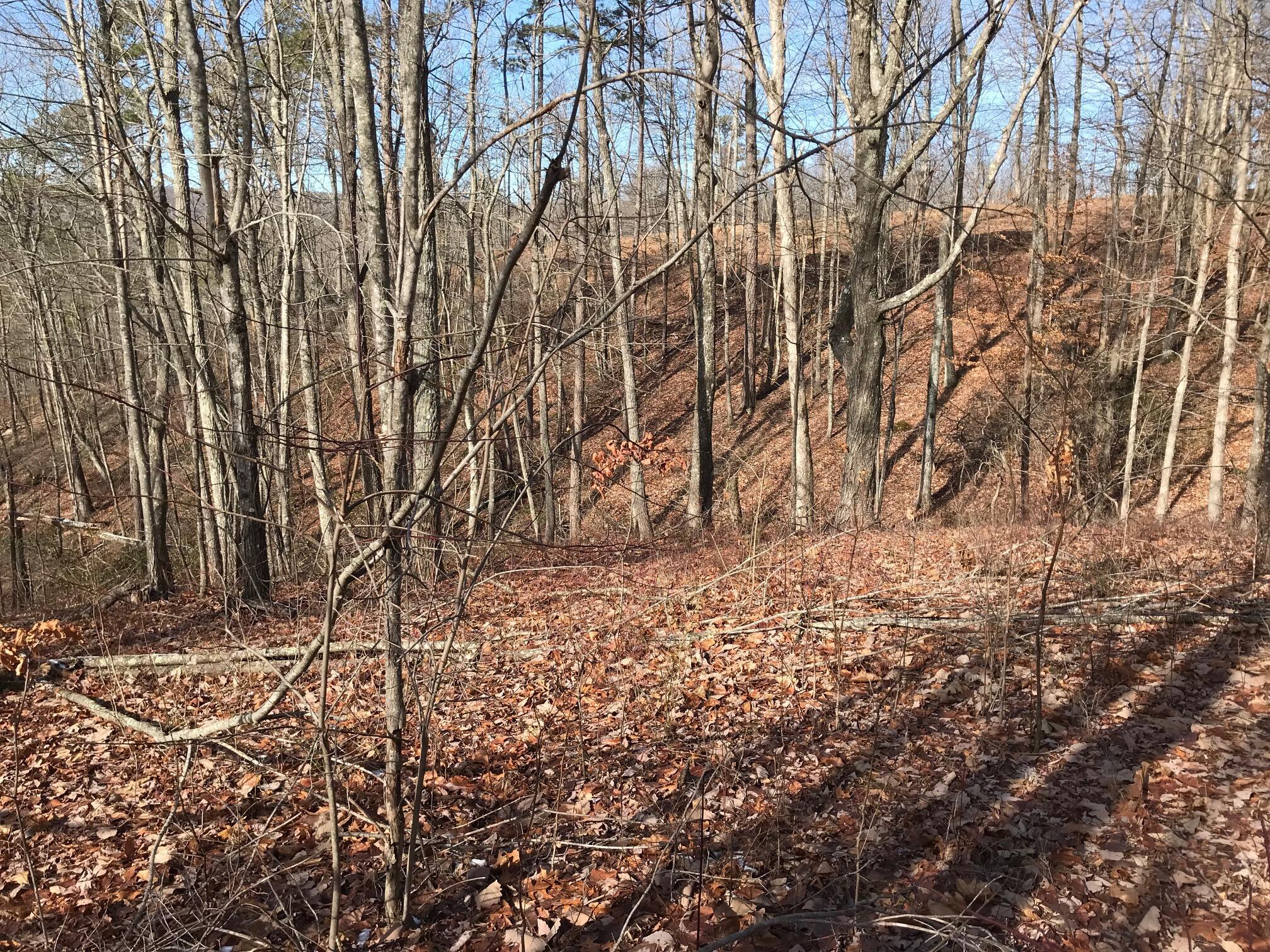 Chestnut Oak Drive #309, Dunlap, Tennessee image 15
