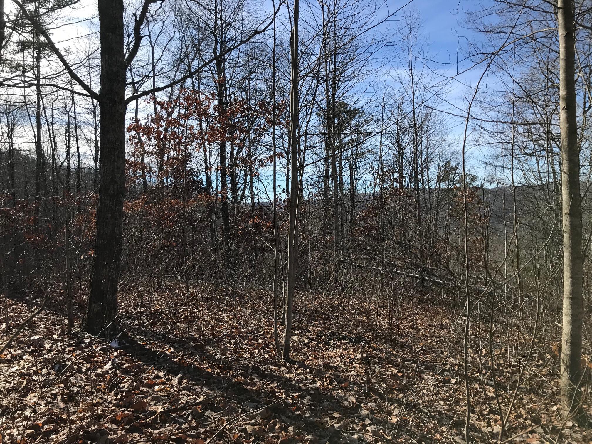 Chestnut Oak Drive #309, Dunlap, Tennessee image 14