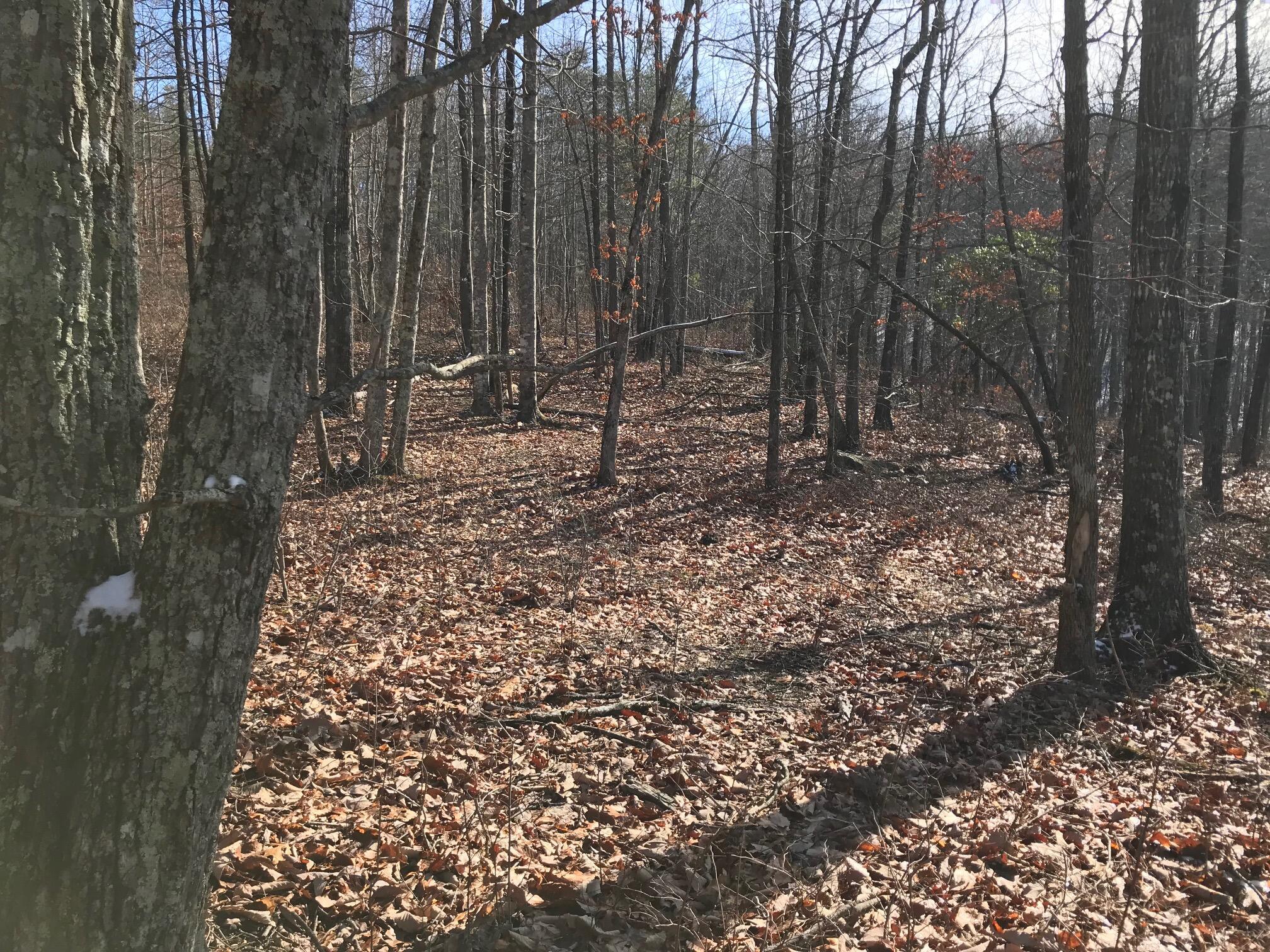 Chestnut Oak Drive #309, Dunlap, Tennessee image 7