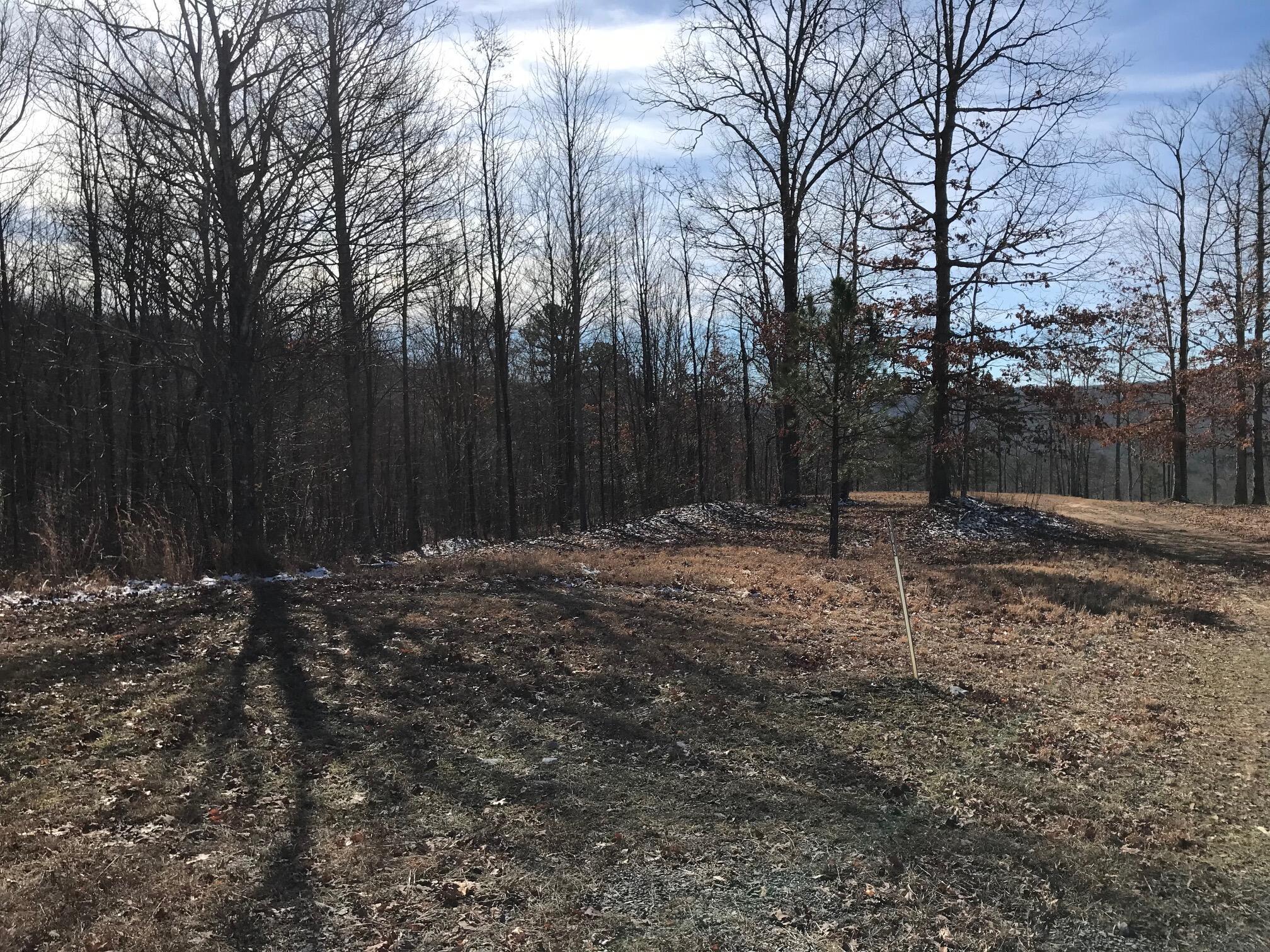 Chestnut Oak Drive #309, Dunlap, Tennessee image 13
