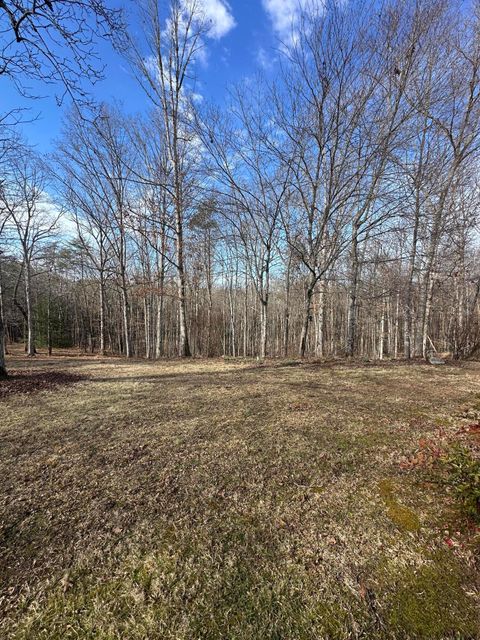 Tiny photo for 7055 Mooneyham Lonewood Road, Spencer, TN 38585 (MLS # 1528511)