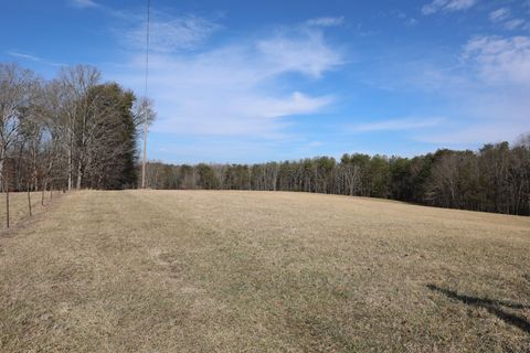 Tiny photo for 7055 Mooneyham Lonewood Road, Spencer, TN 38585 (MLS # 1528511)