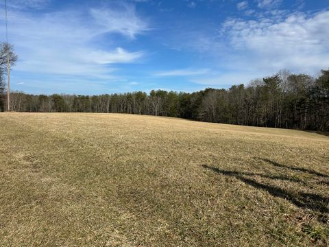 Tiny photo for 7055 Mooneyham Lonewood Road, Spencer, TN 38585 (MLS # 1528511)