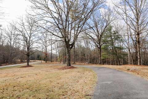 Tiny photo for 7055 Mooneyham Lonewood Road, Spencer, TN 38585 (MLS # 1528511)
