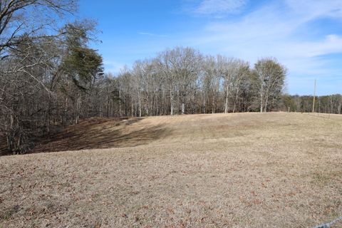 Tiny photo for 7055 Mooneyham Lonewood Road, Spencer, TN 38585 (MLS # 1528511)