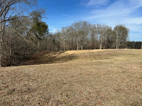 Tiny photo for 7055 Mooneyham Lonewood Road, Spencer, TN 38585 (MLS # 1528511)