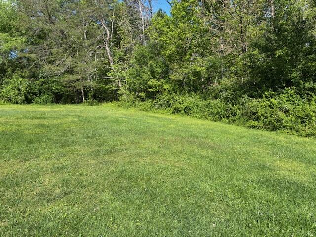 337 Bellview Road, Pikeville, Tennessee image 25