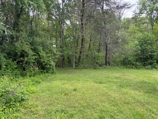 337 Bellview Road, Pikeville, Tennessee image 23