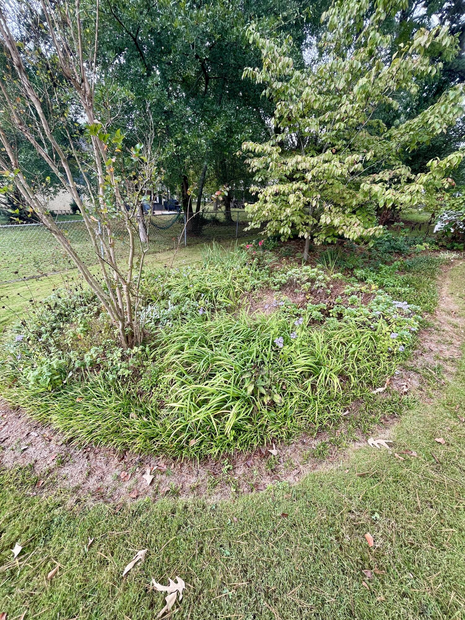 118 Forrest Park Drive