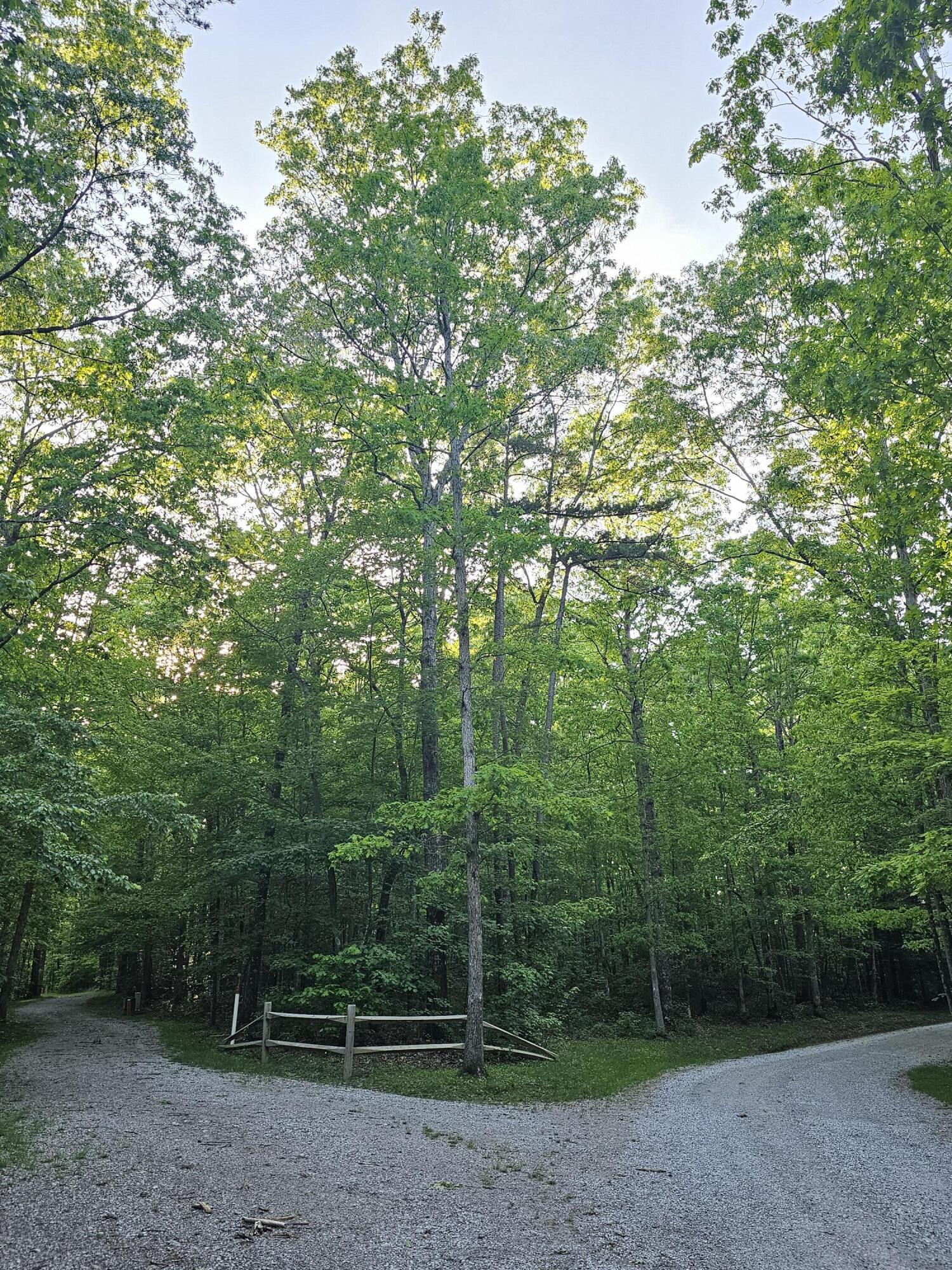 3 Savage Highland Drive #SW1D, Coalmont, Tennessee image 9