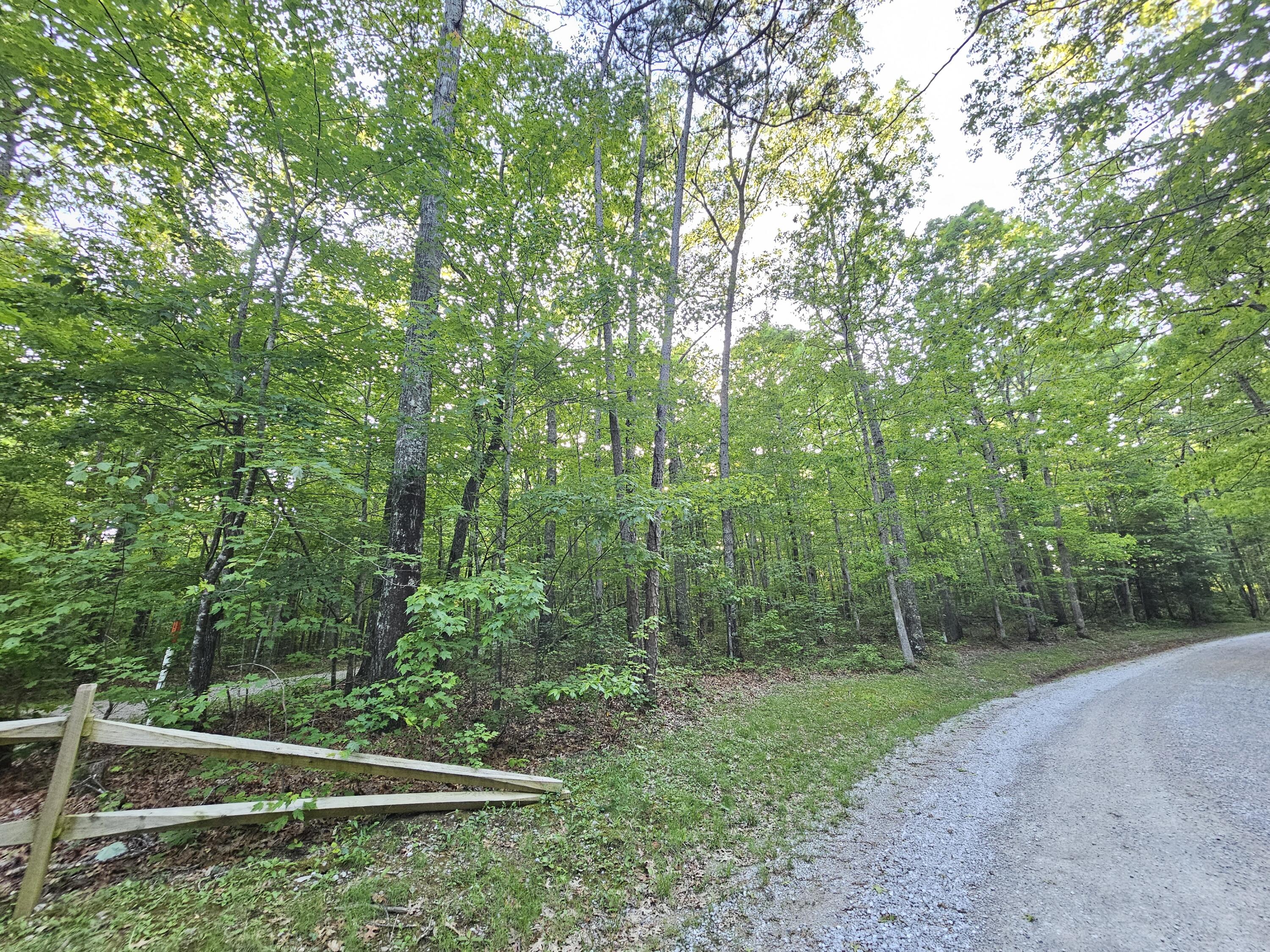 3 Savage Highland Drive #SW1D, Coalmont, Tennessee image 7