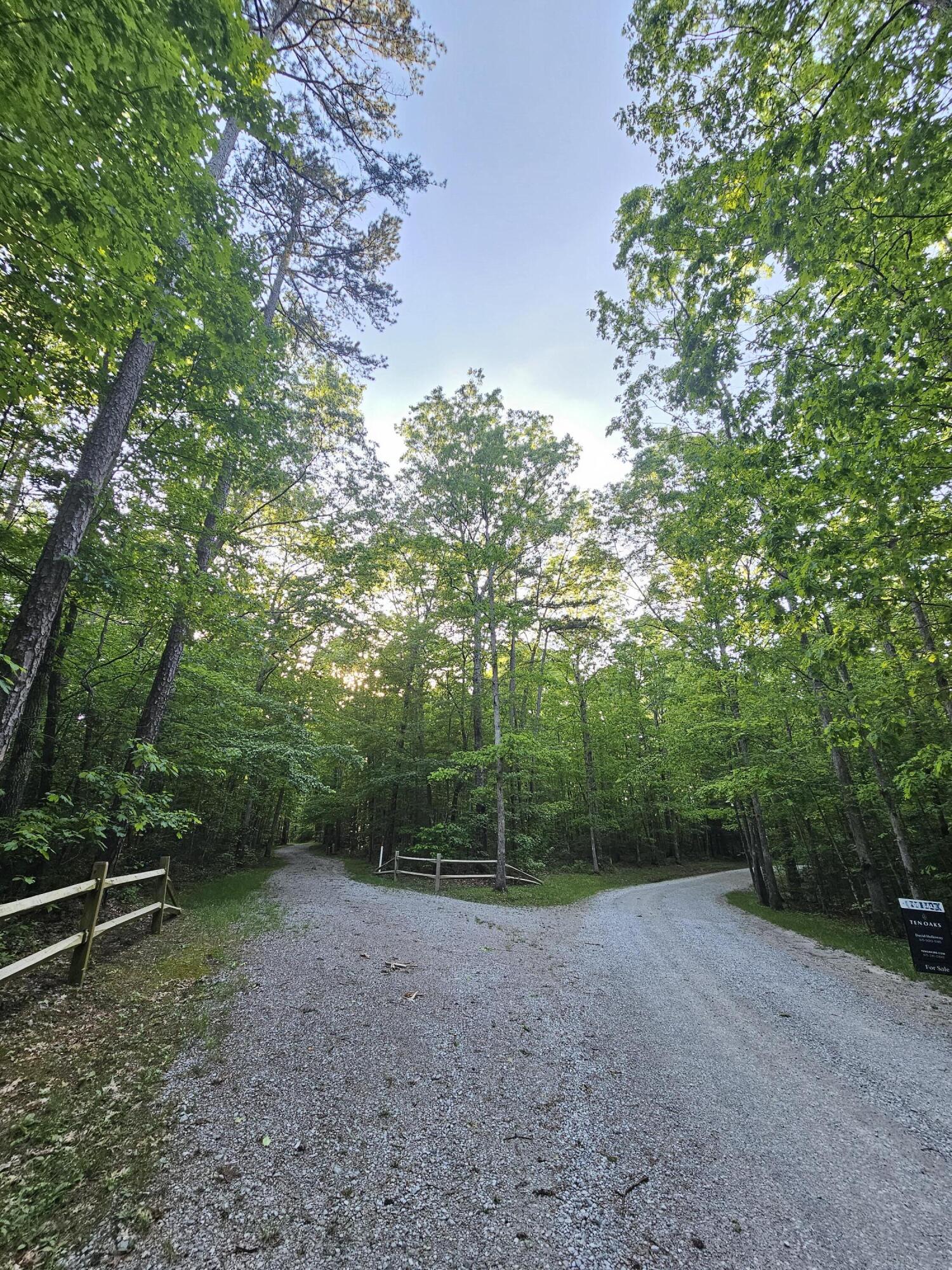 3 Savage Highland Drive #SW1D, Coalmont, Tennessee image 10