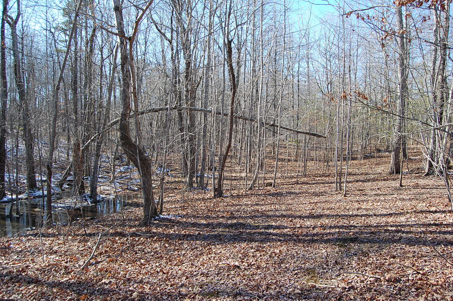 340 Bluff View Drive