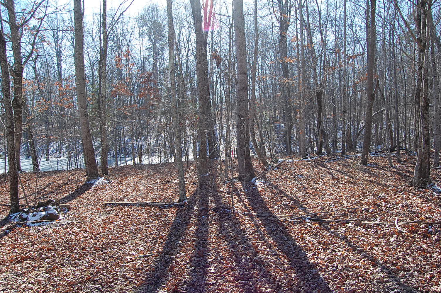 340 Bluff View Drive