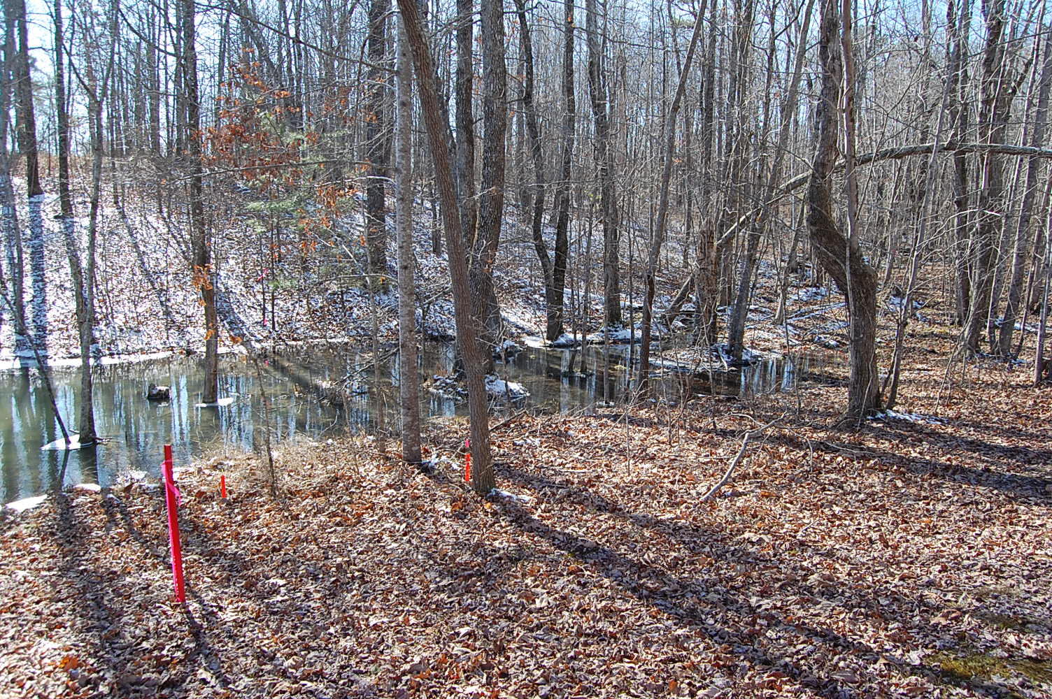 340 Bluff View Drive