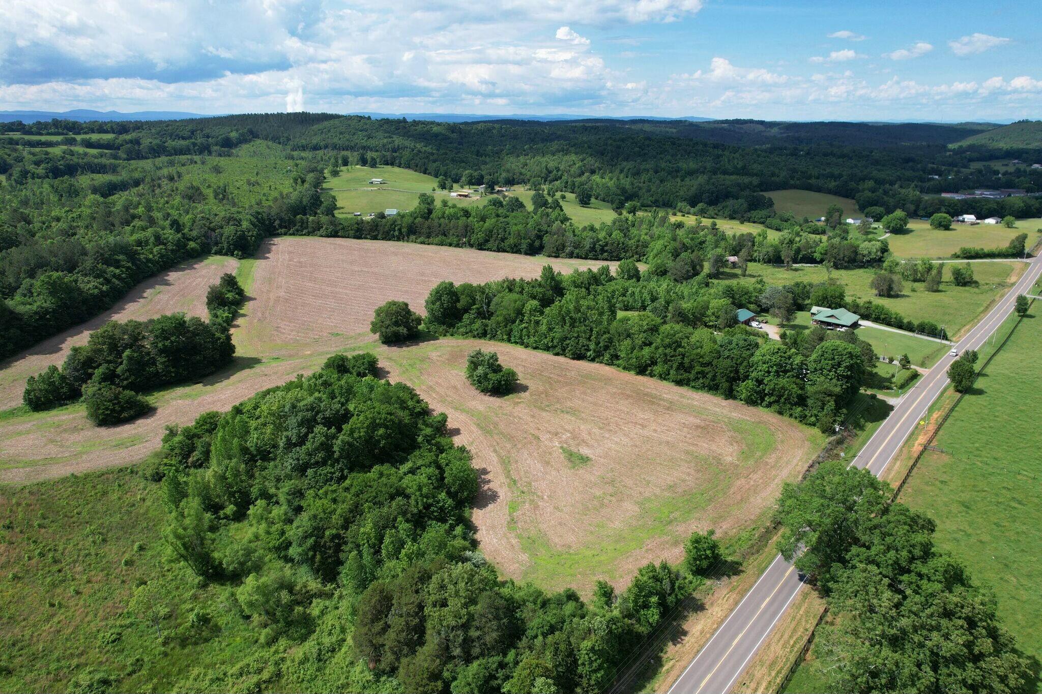 Lankford Ridge 4 Road, Decatur, Tennessee image 4