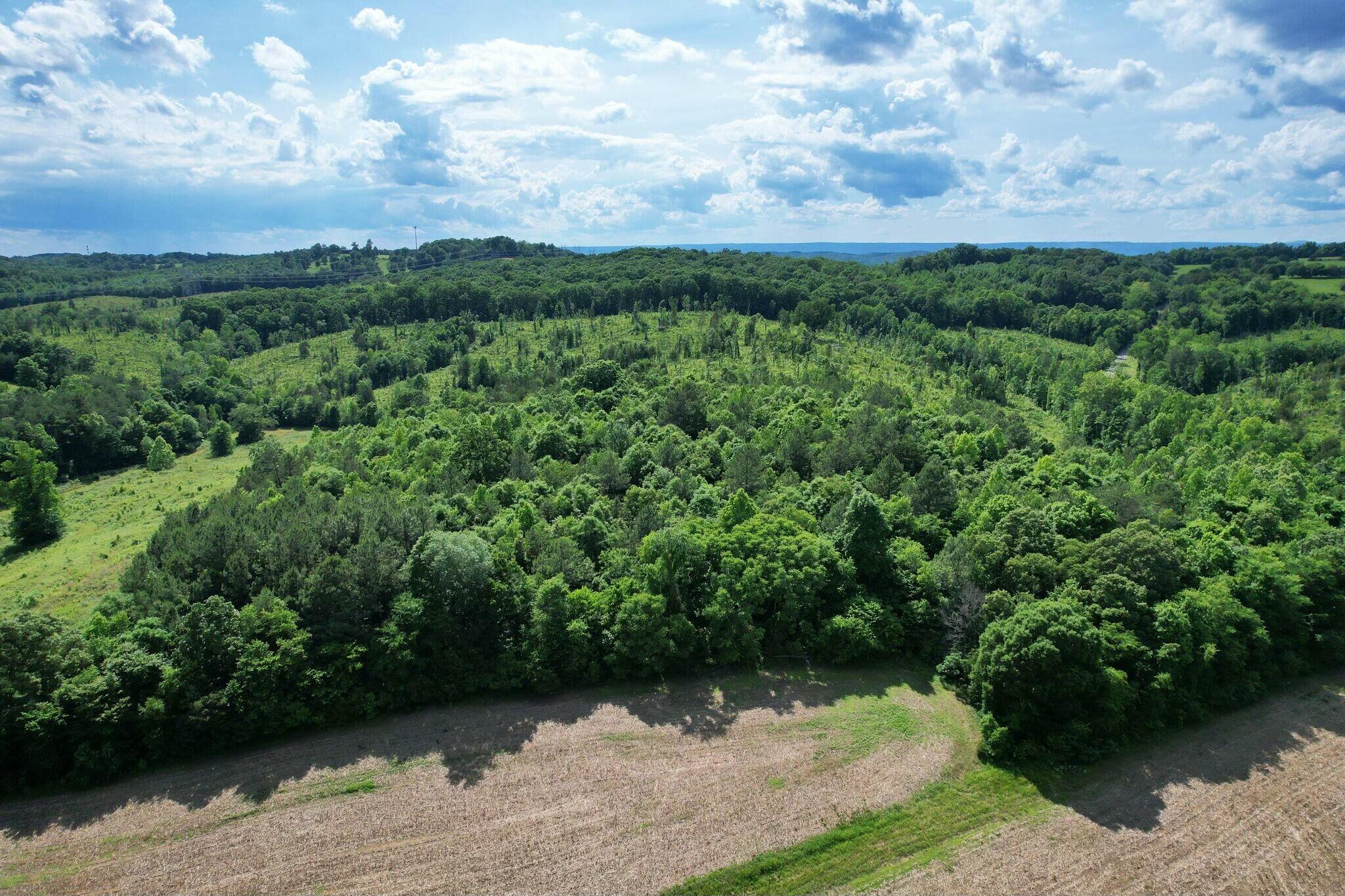 Lankford Ridge 4 Road, Decatur, Tennessee image 12