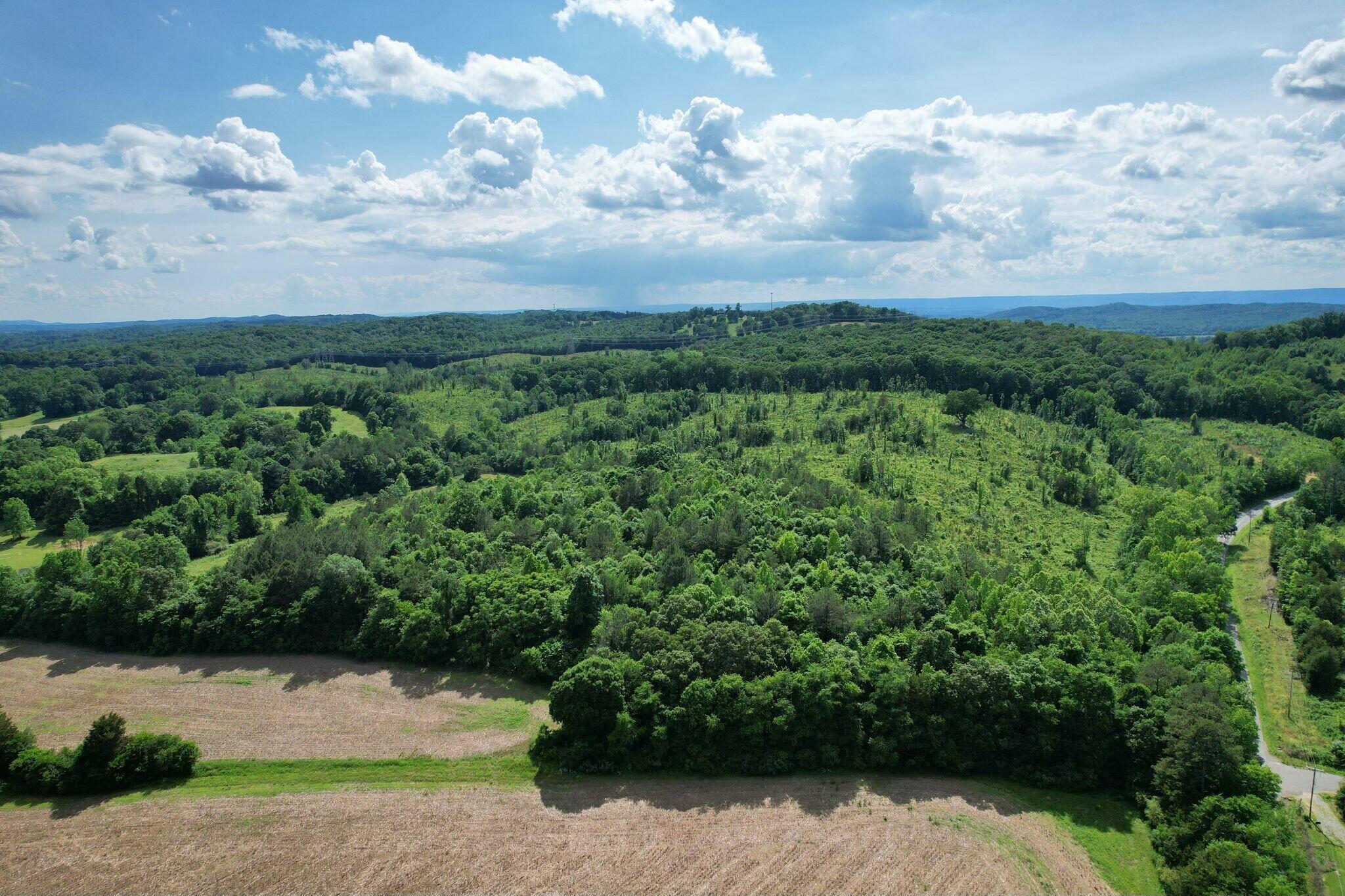 Lankford Ridge 4 Road, Decatur, Tennessee image 8