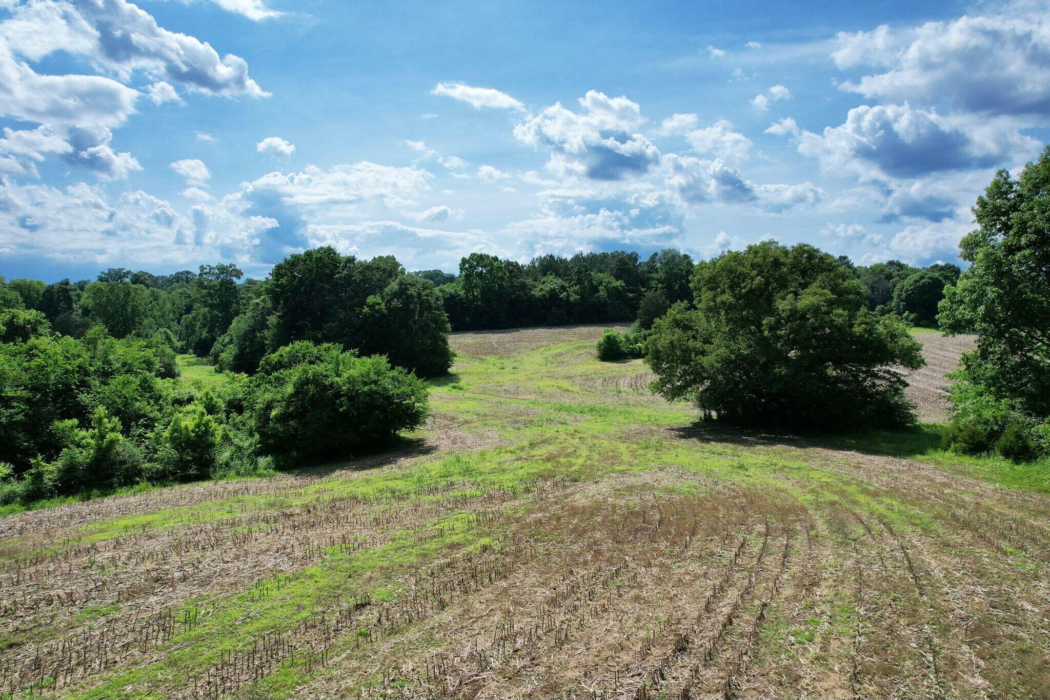 Lankford Ridge 4 Road, Decatur, Tennessee image 10