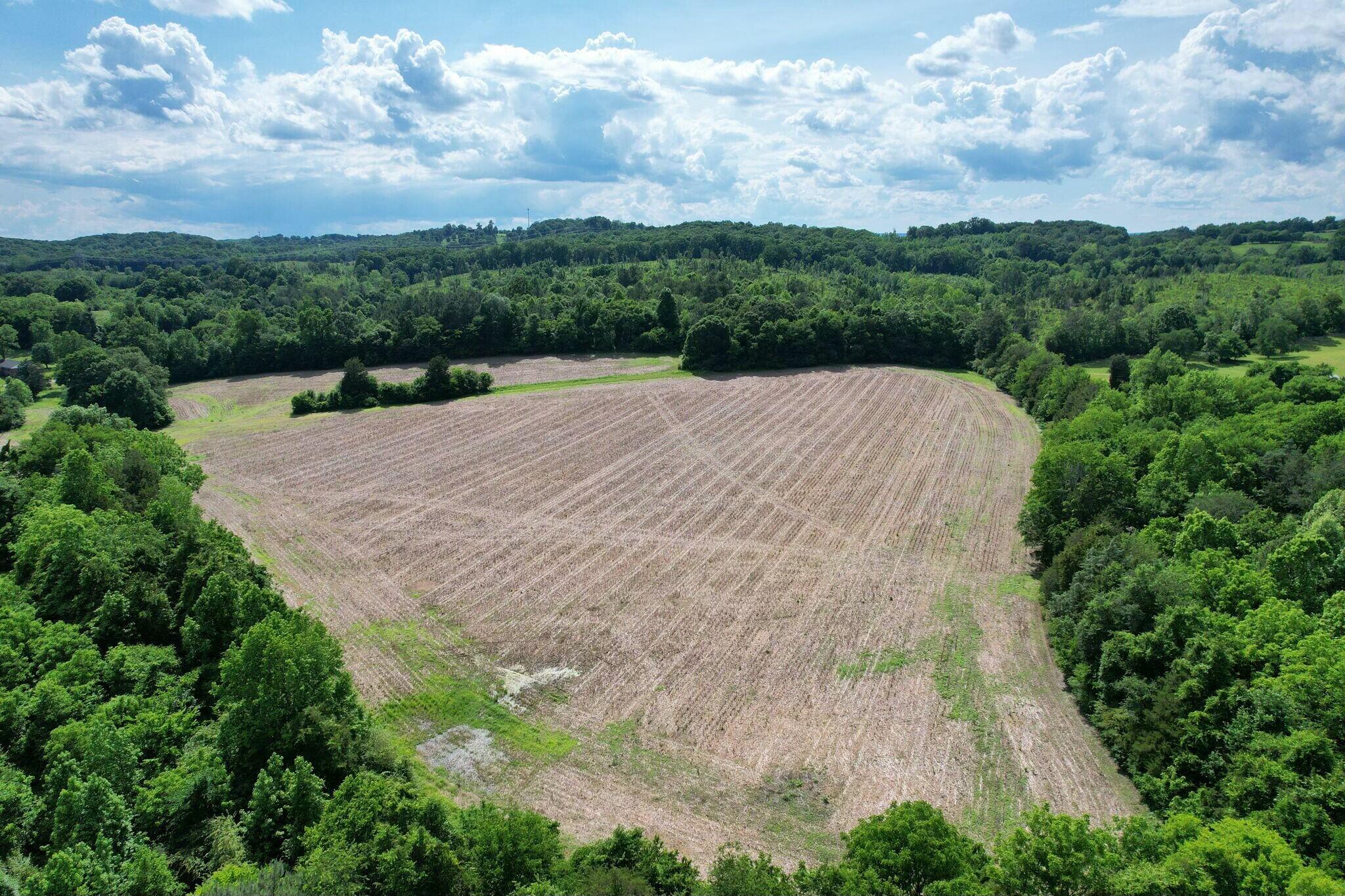 Lankford Ridge 4 Road, Decatur, Tennessee image 1