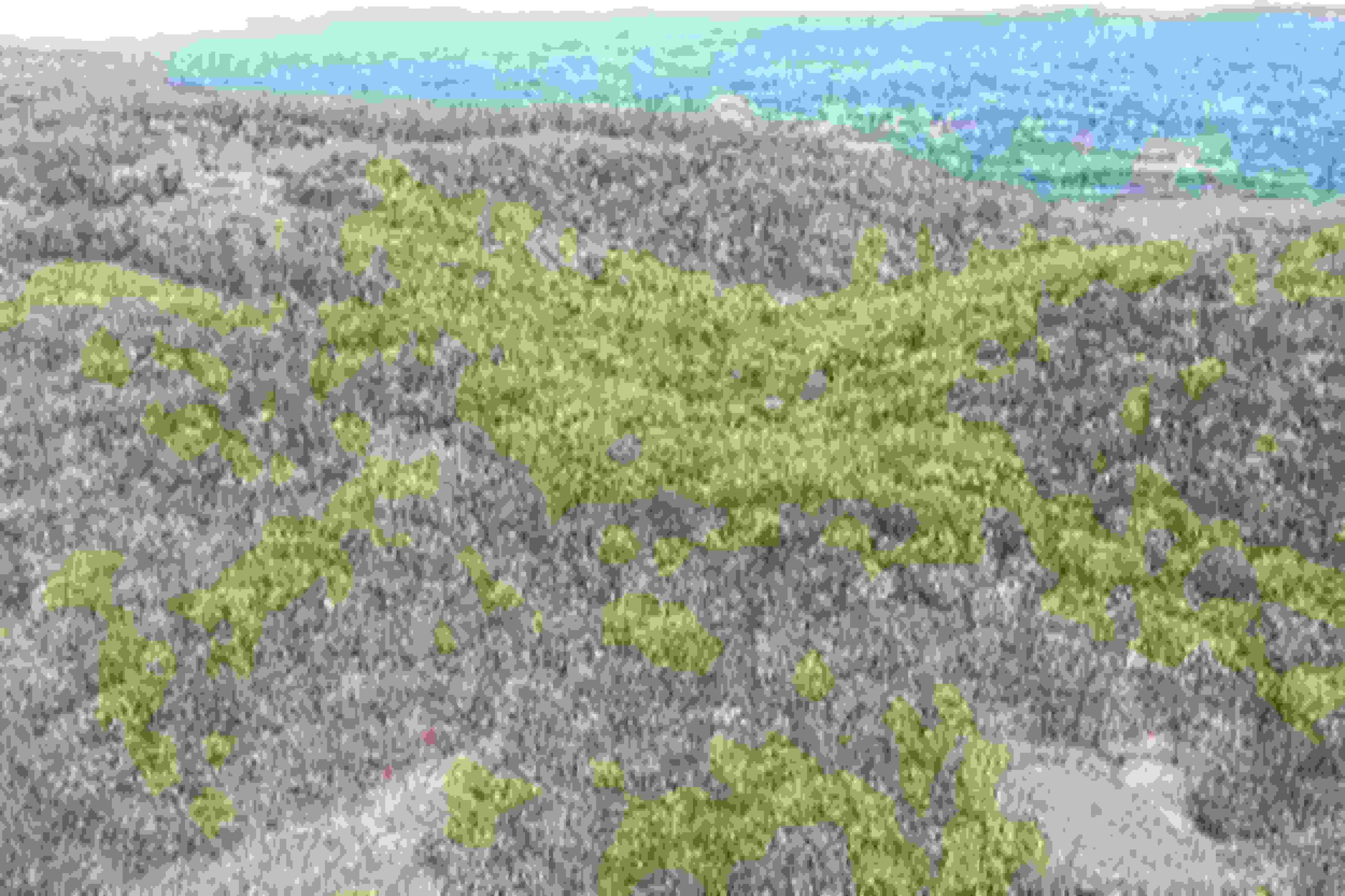 Big Bluff View, Pikeville, Tennessee image 6