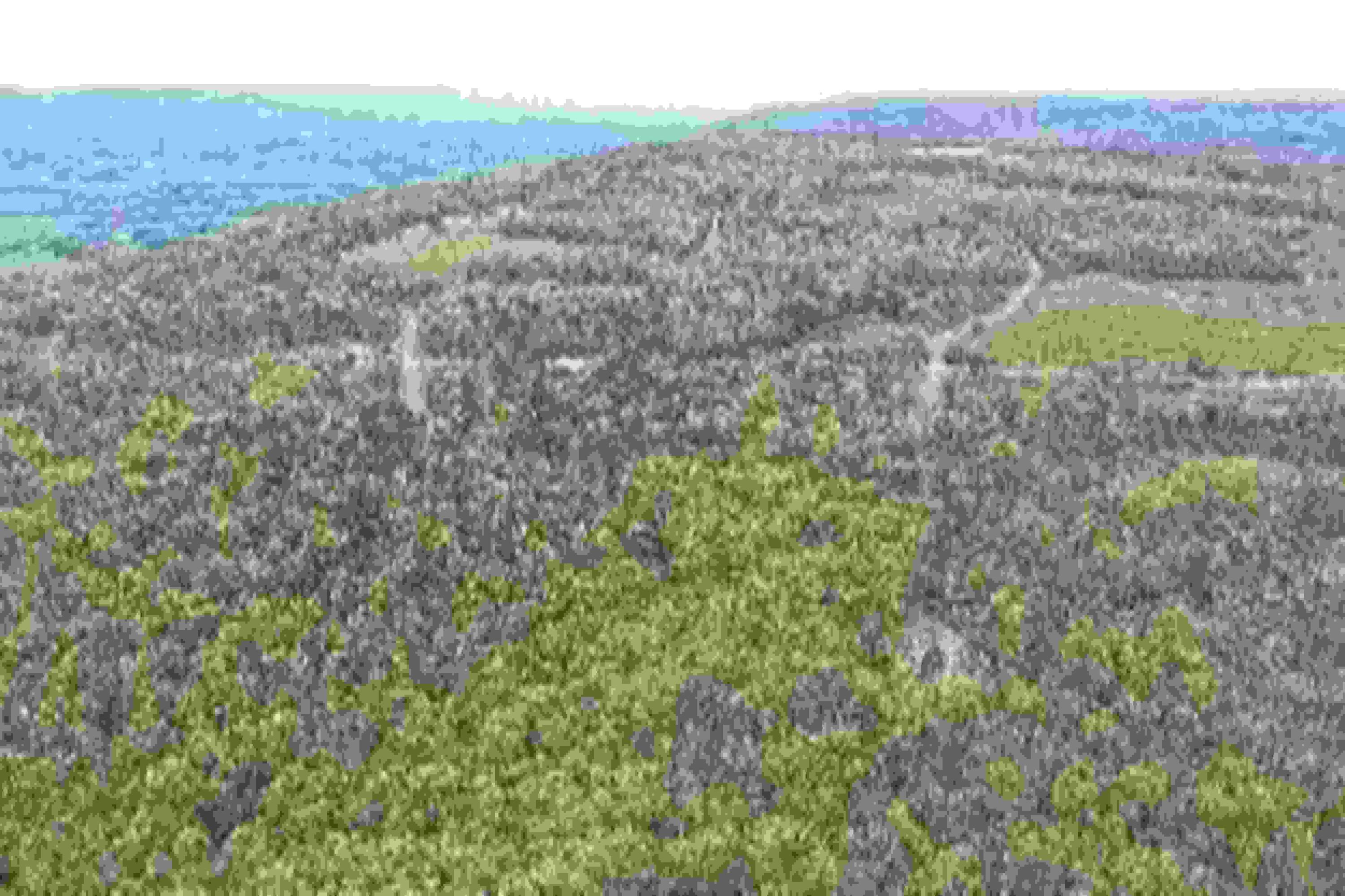 Big Bluff View, Pikeville, Tennessee image 7